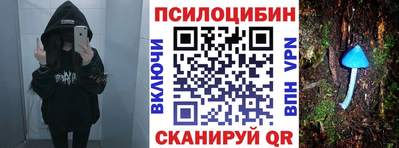Псилоцибиновые грибы ЛСД Купить где Изобильный